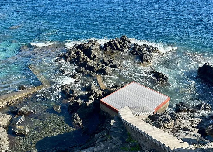 Santa Cruz Ocean * Gaula